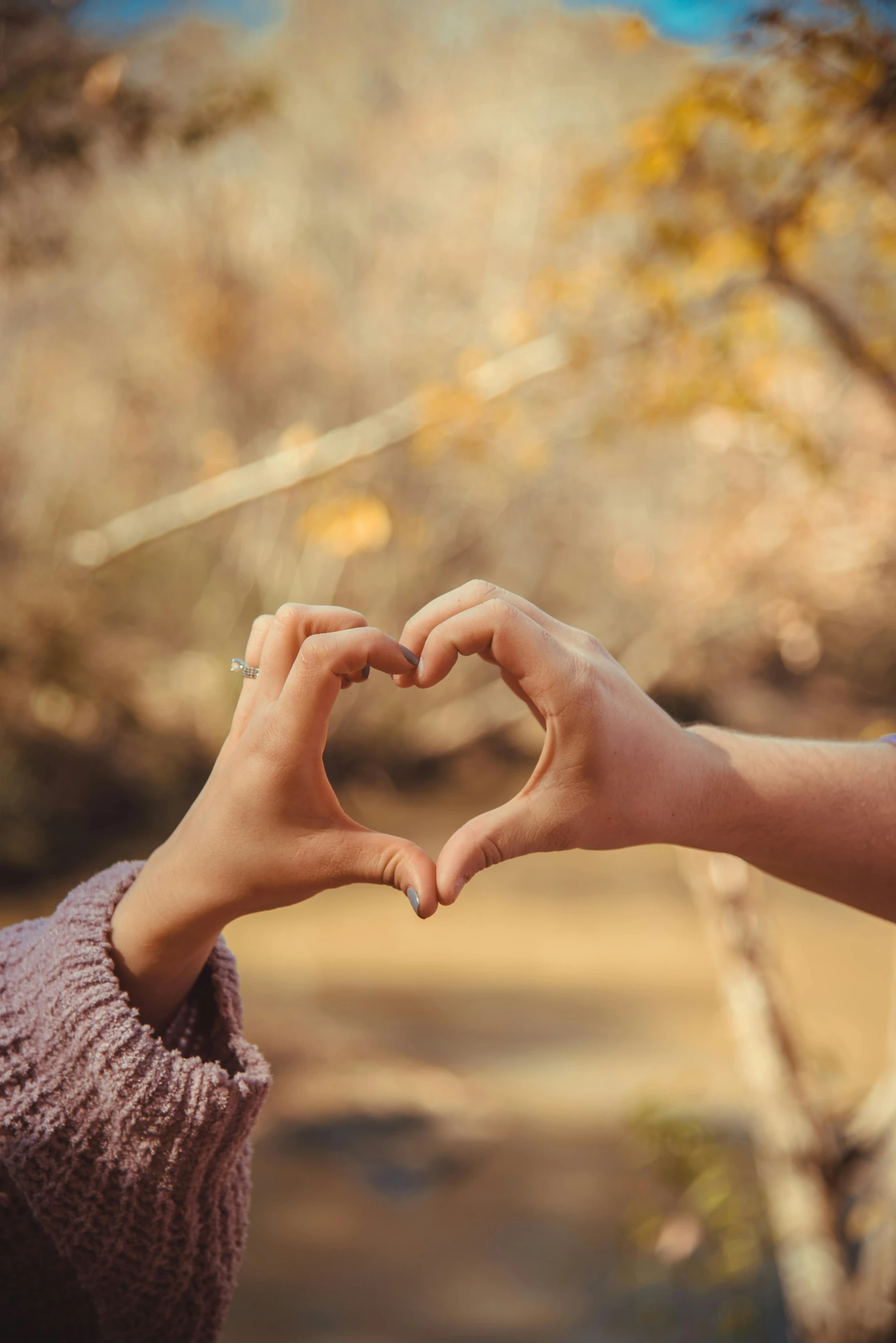 two people making a heart with their hands, by Niko Henrichon, pexels, 🍁 cute, paul barson, 15081959 21121991 01012000 4k