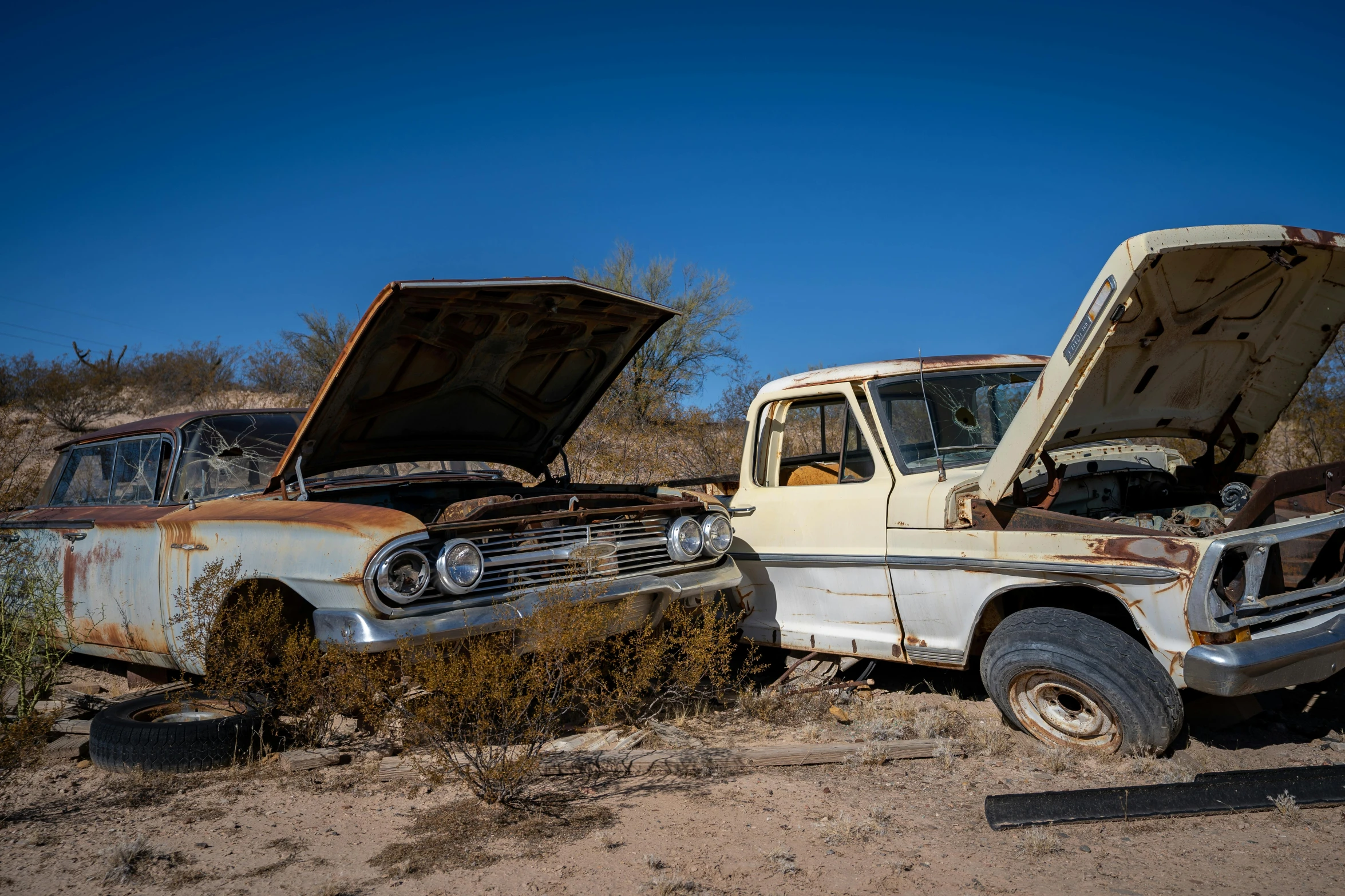 a couple of old trucks that are sitting in the dirt, a portrait, by Arnie Swekel, unsplash, belongings strewn about, tucson arizona, cars parked underneath, sunken