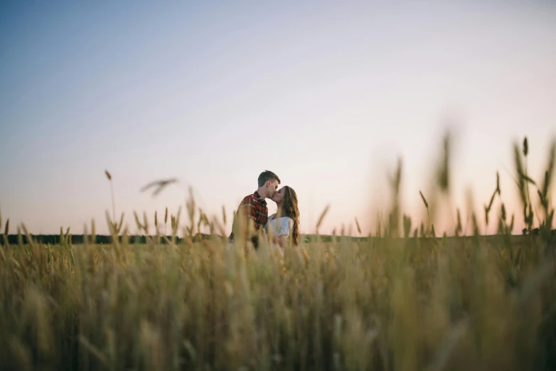 a couple kissing in a field of tall grass, a picture, by Matt Cavotta, unsplash, in a wheat field, rectangle, low colour, landscape photo