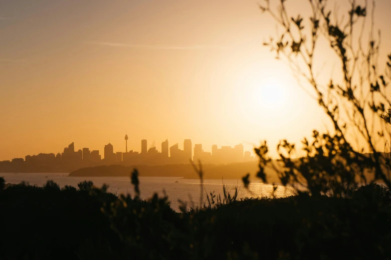 the sun is setting over the city skyline, a picture, by Matt Stewart, pexels contest winner, manly, nature outside, golden hues, clear and sunny