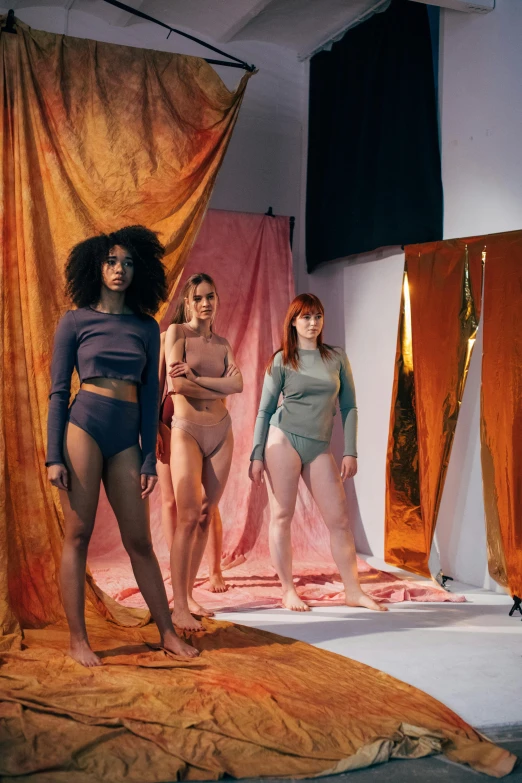 a group of women standing next to each other on a stage, an album cover, inspired by Vanessa Beecroft, trending on unsplash, renaissance, diaphanous iridescent cloth, wearing leotard, copper, in a studio