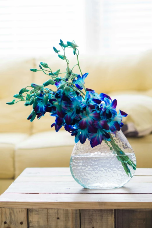 a vase filled with blue flowers sitting on top of a wooden table, iridescent accents. vibrant, moth orchids, flowy, award - winning