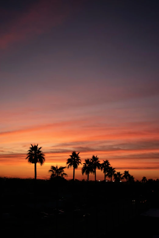 a sunset with palm trees in the foreground, by Linda Sutton, happening, arizona, city views, high quality image, goodnight