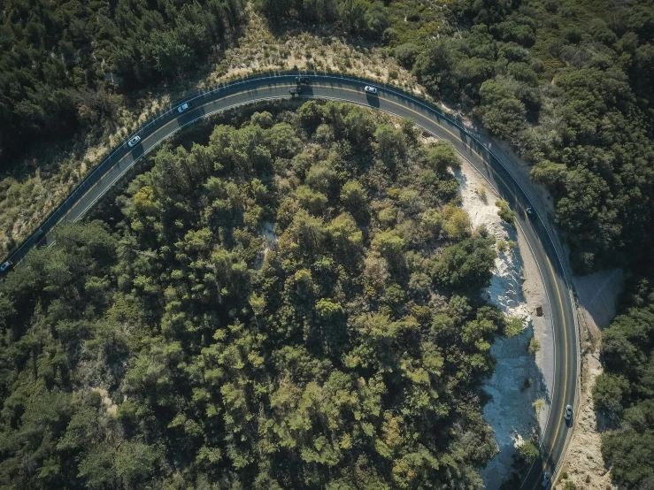 an aerial view of a winding road surrounded by trees, everything enclosed in a circle, california;, ultrawide cinematic, tourist photo