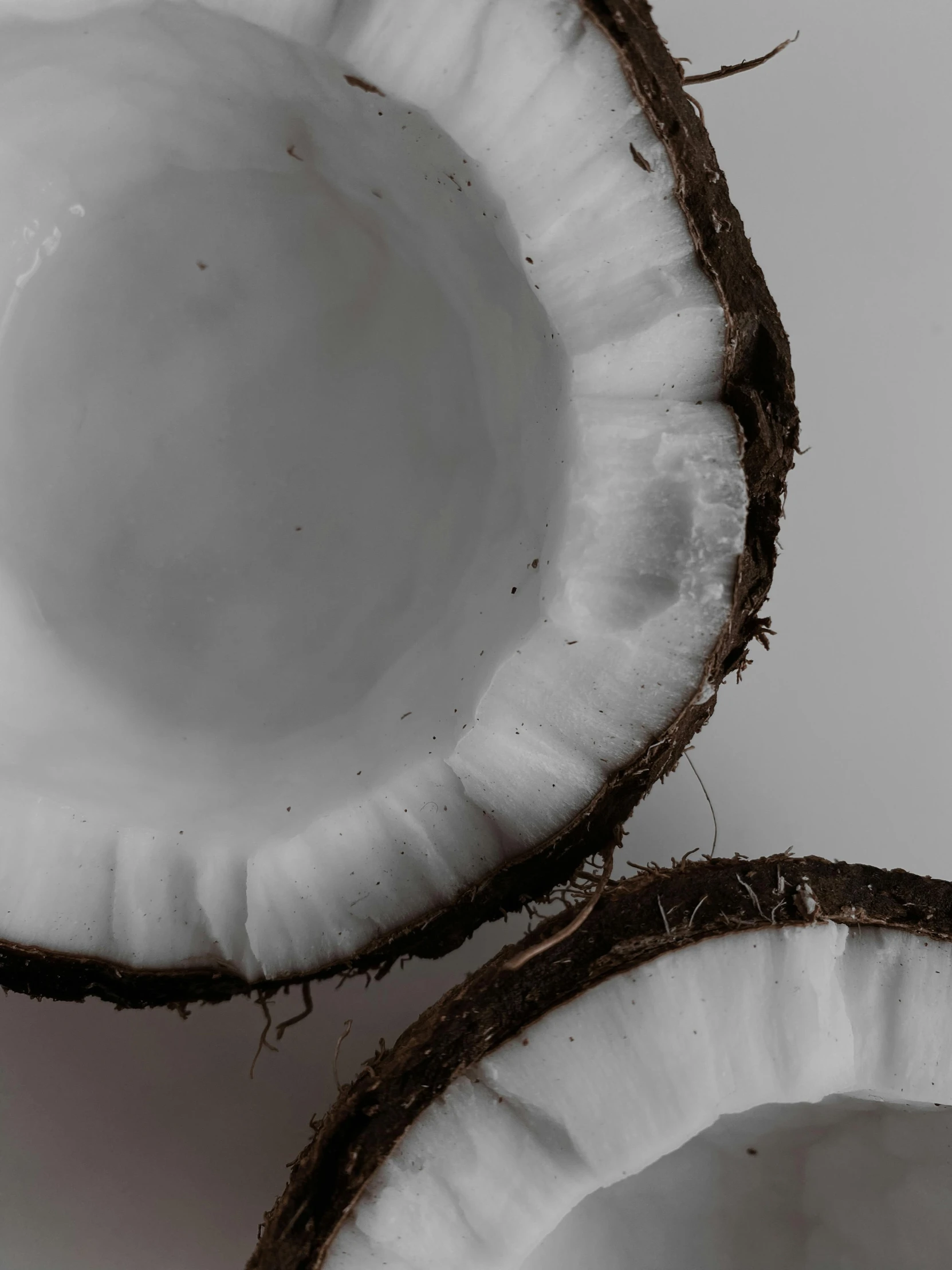 two halves of a coconut on a white surface, by Robbie Trevino, lightweight, alessio albi, fan favorite, good