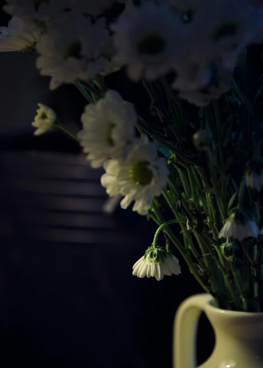 a vase filled with white flowers on top of a table, a still life, unsplash, romanticism, late night melancholic photo, medium format. soft light, daisies, soft light - n 9