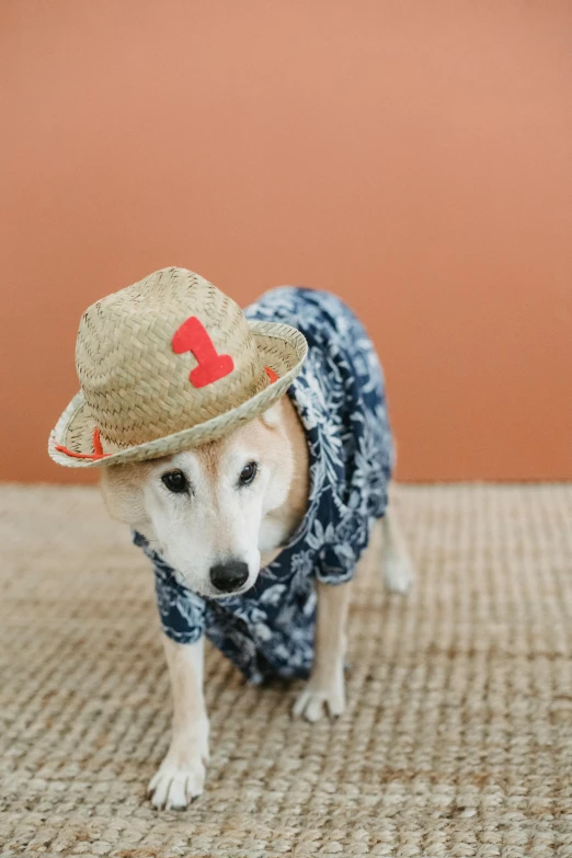 a small white dog wearing a straw hat, by Julia Pishtar, unsplash, shin hanga, 15081959 21121991 01012000 4k, patterned clothing, thumbnail, birthday