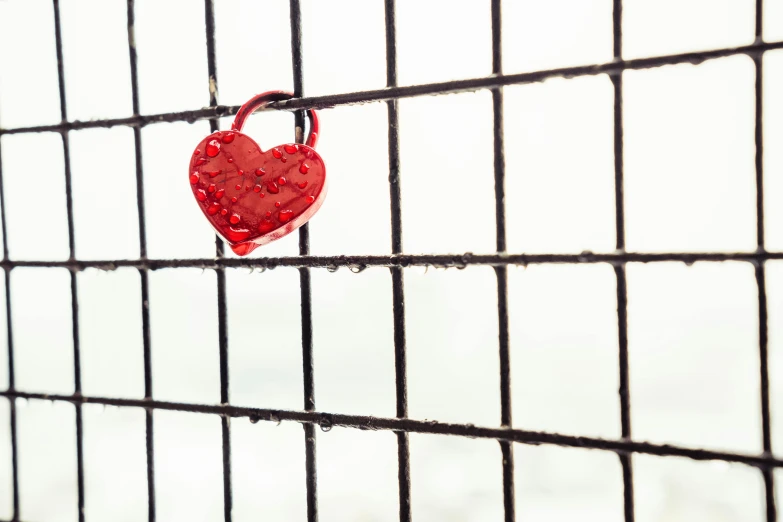 a red heart shaped padlock attached to a fence, an album cover, pexels, high-key, red grid, 👰 🏇 ❌ 🍃, made of wrought iron