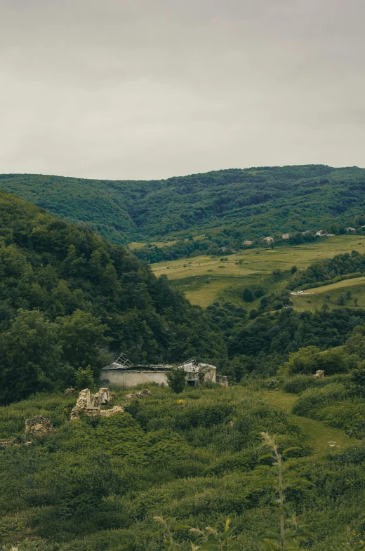 a herd of sheep standing on top of a lush green hillside, a matte painting, by Adam Szentpétery, pexels contest winner, renaissance, abandoned town, panorama distant view, an overgrown, in between a gorge