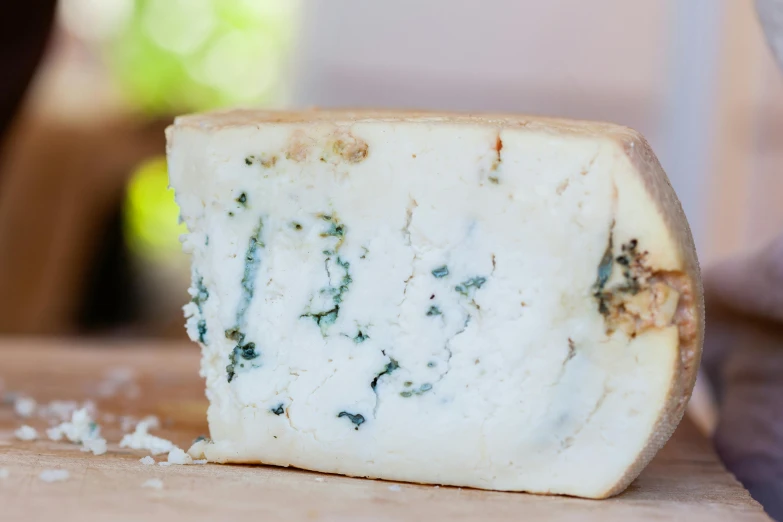 a piece of cheese sitting on top of a cutting board, a portrait, unsplash, white and pale blue, italian, greens and blues, gooey skin