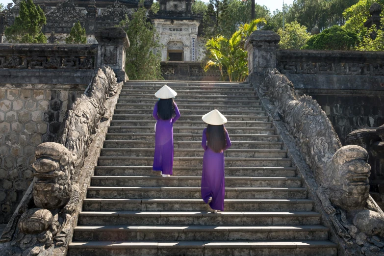 a couple of people that are walking up some stairs, an album cover, inspired by Steve McCurry, pexels contest winner, happening, vietnamese temple scene, purple robes, ferred - themed robes and hat, ( ( theatrical ) )