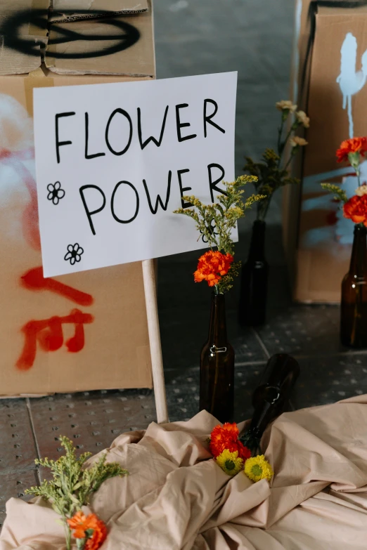 a bunch of flowers that are on the ground, by Elsie Few, trending on unsplash, graffiti, protesters holding placards, vases and bottles, orange and green power, - 9