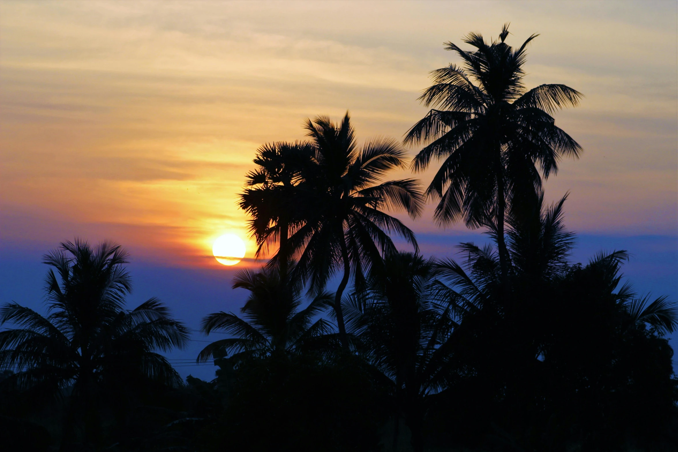 a sunset with palm trees in the foreground, by Carey Morris, pexels contest winner, sumatraism, sri lanka, vista view, hd footage, ((sunset))