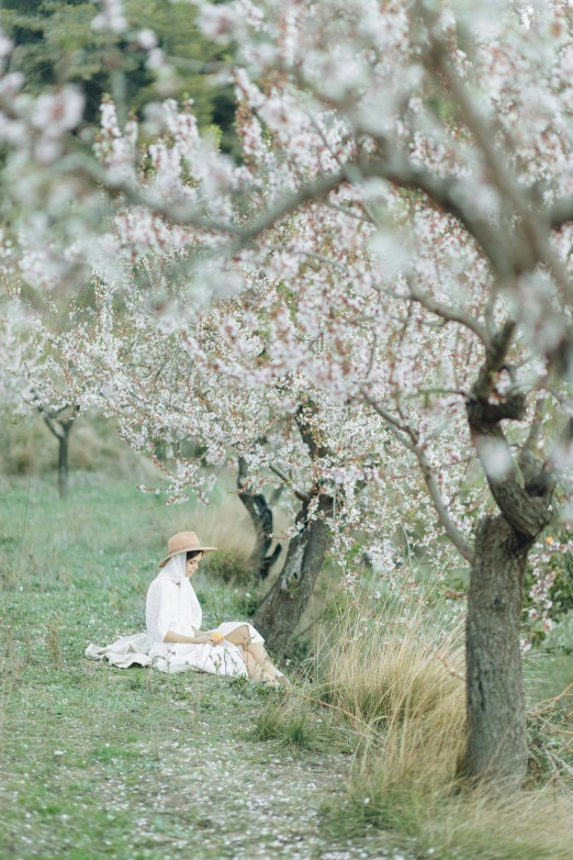 a woman sitting in a field surrounded by trees, unsplash, impressionism, with fruit trees, blossom, white, vintage aesthetic