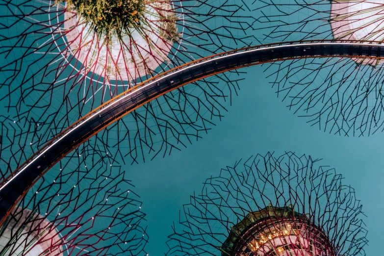 a bunch of trees that are next to each other, a microscopic photo, pexels contest winner, visual art, singapore esplanade, wrought iron architecture, mauve and cinnabar and cyan, spores floating in the air