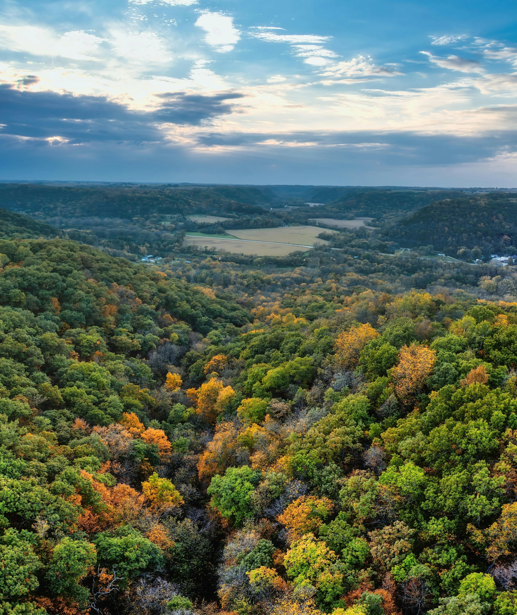 a river running through a lush green forest, a digital rendering, by Greg Rutkowski, unsplash contest winner, the treetops of giant oaks, fall colors, 4k panoramic, sky - high view