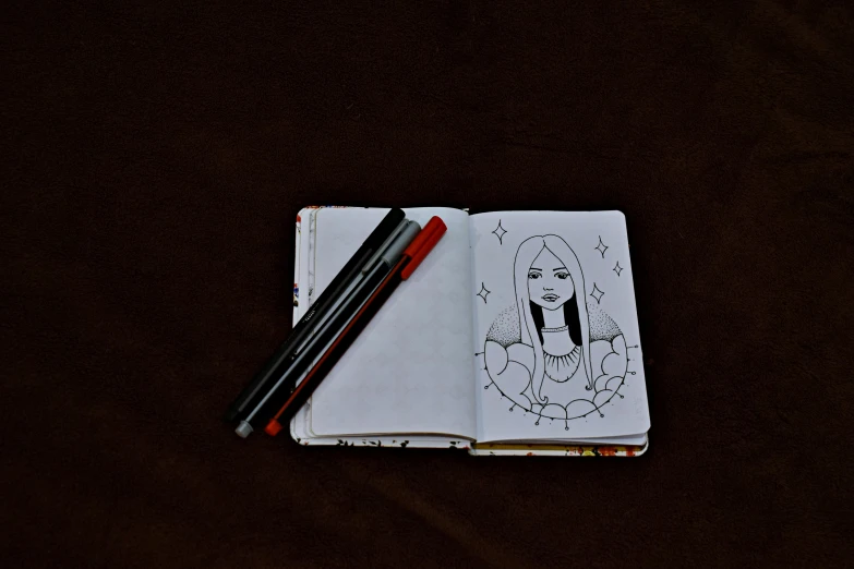 a notebook with a drawing of a woman on it, by Dóra Keresztes, pexels contest winner, dark and realistic, pocahontas, manga pen, art set