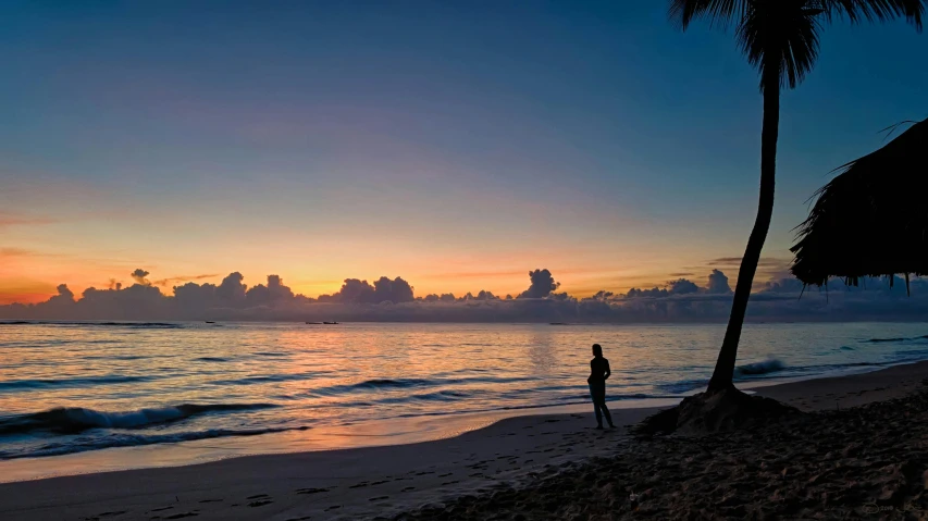 a person standing on a beach next to a palm tree, during dawn, skies, beaches, looking at the ocean