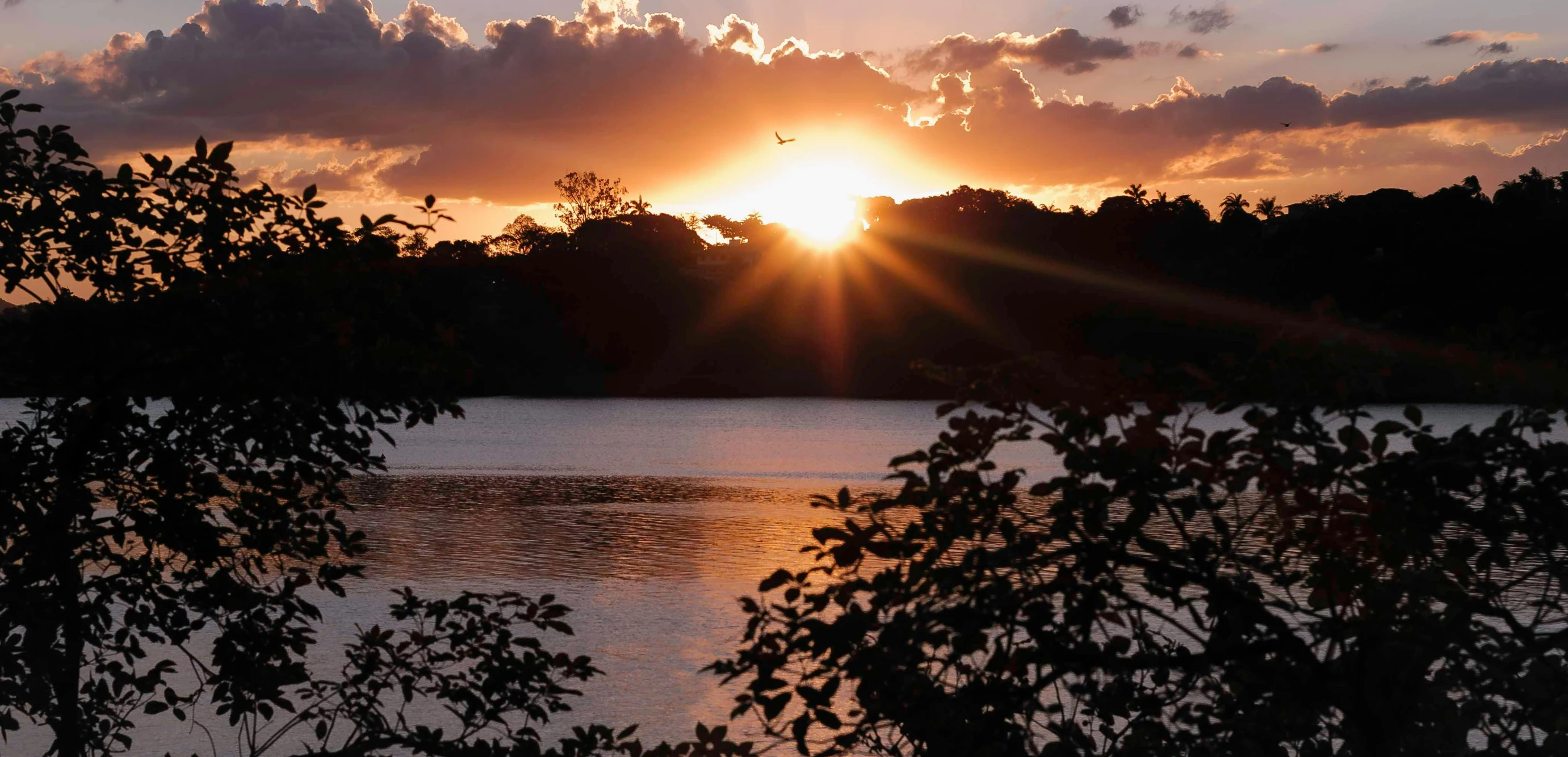 the sun is setting over a body of water, by Bertram Brooker, pexels contest winner, hurufiyya, sydney park, mystical kew gardens, zoomed out, lisa brawn