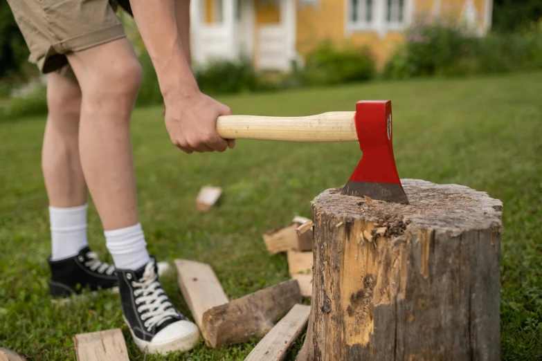 a man holding an ax ax ax ax ax ax ax ax ax ax ax ax ax ax ax ax ax ax ax ax ax ax ax ax, a picture, by Haukur Halldórsson, pexels contest winner, auto-destructive art, extreme log shot, youtube thumbnail, teenage boy, medium height