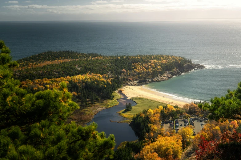 a large body of water surrounded by trees, pexels contest winner, beach on the outer rim, mid fall, celtics, slide show