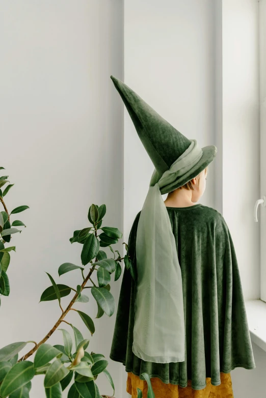 a little boy dressed as a wizard standing in front of a window, inspired by Elsa Beskow, trending on unsplash, green hat, long cape, ignant, extra large witch hat