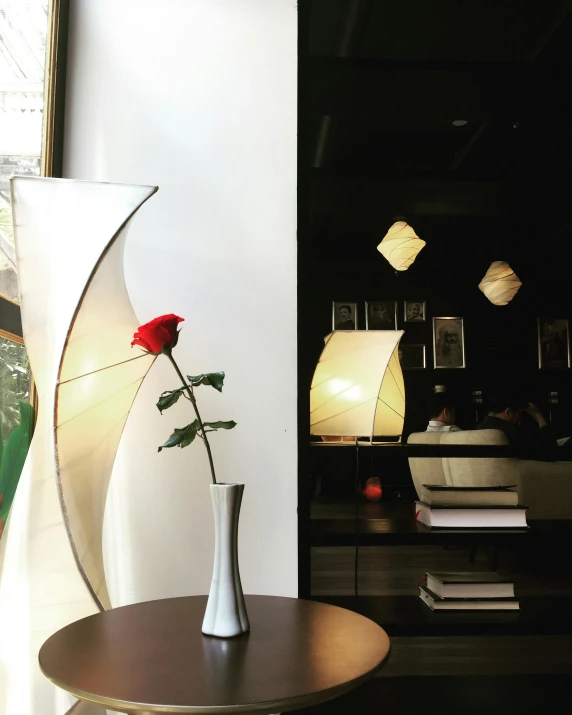 a vase sitting on top of a table next to a lamp, inspired by Okamoto Tarō, unsplash, cafe interior, photo of a rose, paper decoration, slanted lighting from window