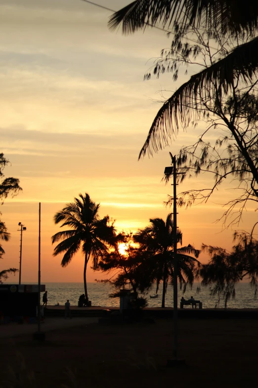 a beach at sunset with palm trees in the foreground, happening, cambodia, ((sunset)), multiple stories