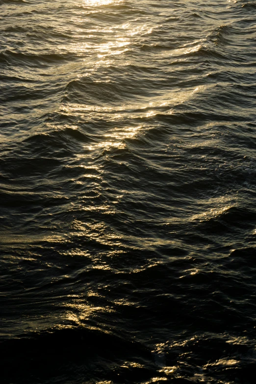 the sun is setting over a body of water, an album cover, inspired by Andreas Gursky, unsplash, hyperrealism, ignant, rough waters, gold dappled light, photographic hyperrealism