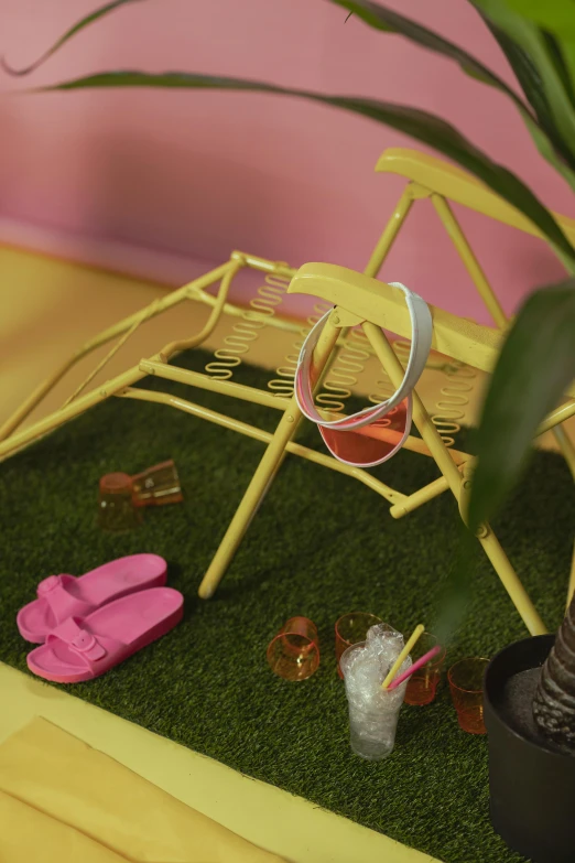 a green plant sitting on top of a wooden table, a picture, toys, in a sun lounger, model エリサヘス s from acquamodels, pink and yellow