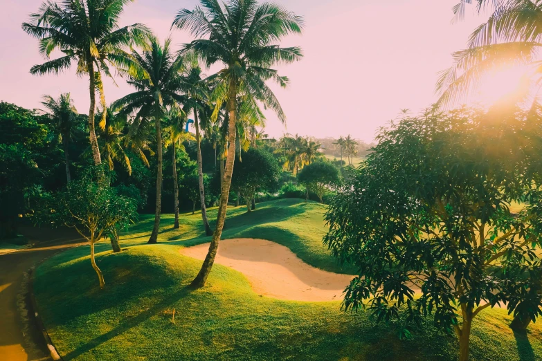 a golf course surrounded by palm trees on a sunny day, pexels contest winner, hurufiyya, sunset beach, lush garden surroundings, instagram post, sparkling cove