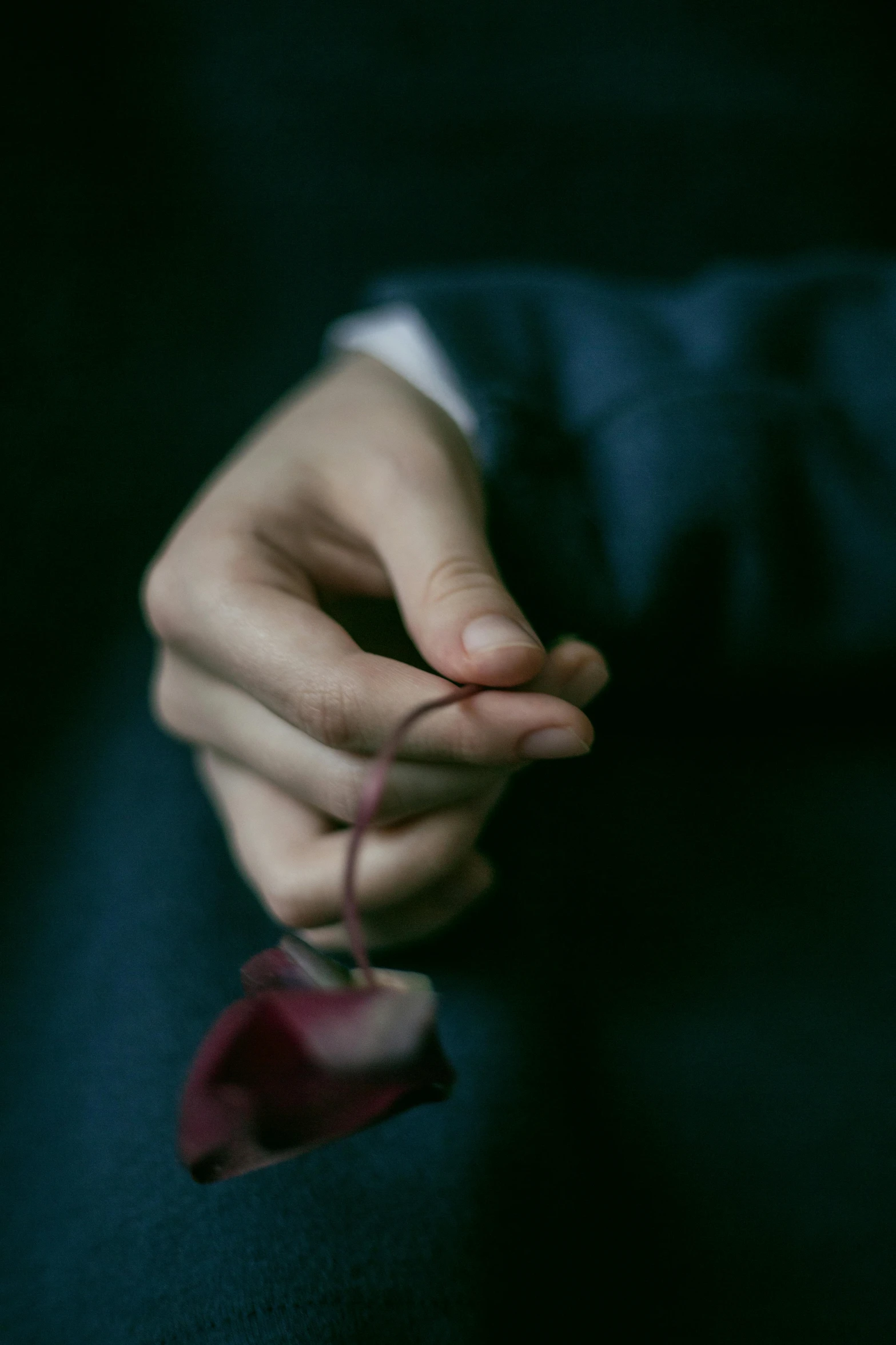 a close up of a person holding a flower, by Elsa Bleda, romanticism, gentleman, pulling strings, unblur, thoughtful )