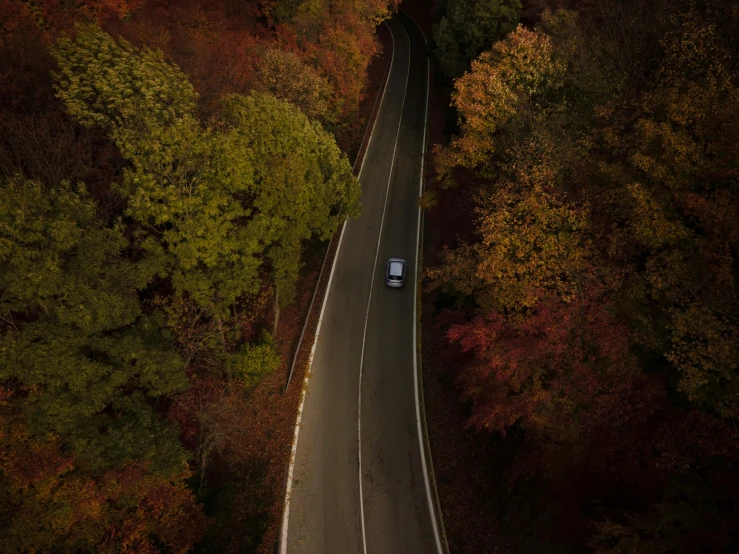 a car driving down a road surrounded by trees, deep colours, top down, 15081959 21121991 01012000 4k, feature