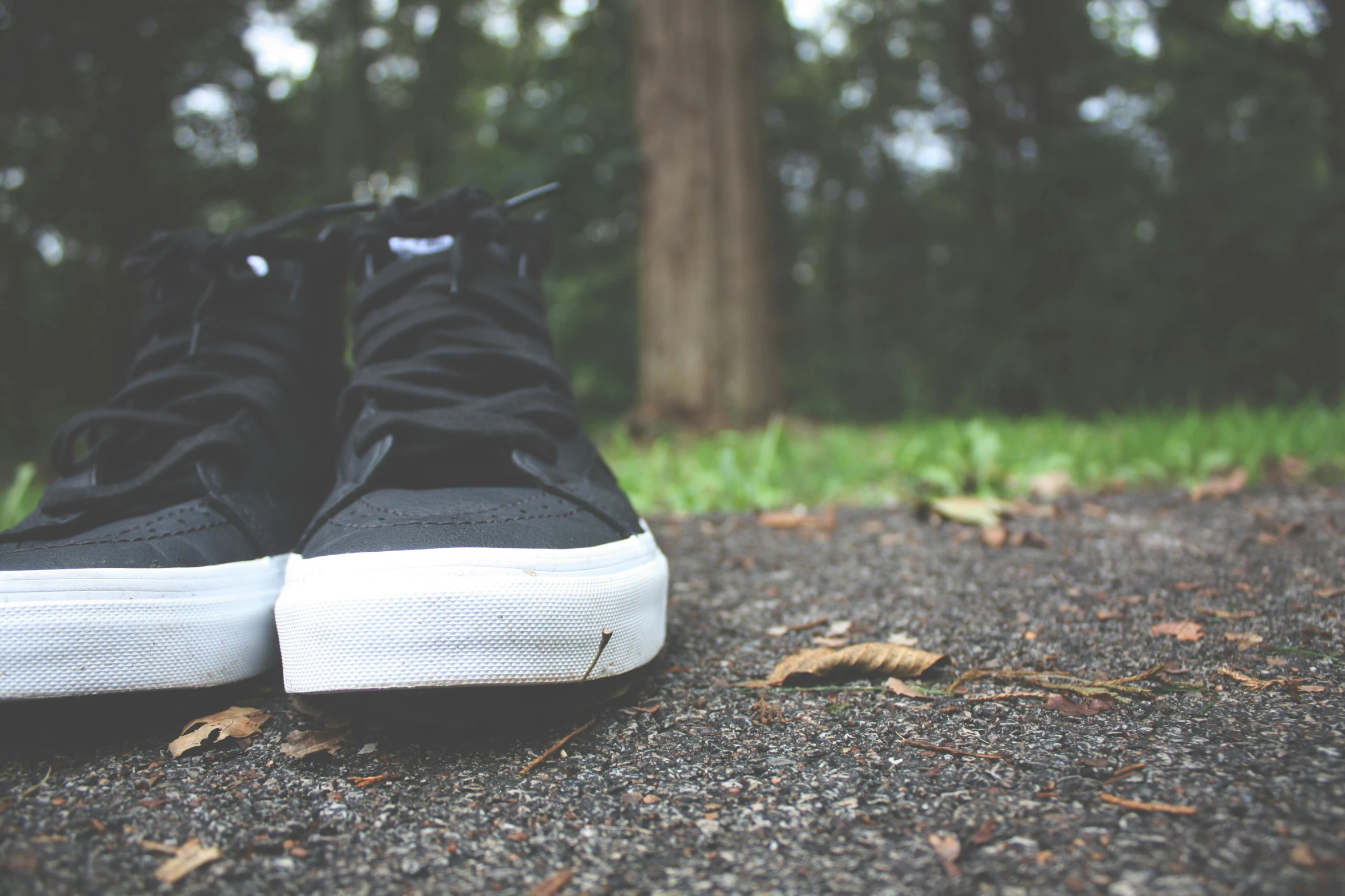 a pair of black and white sneakers sitting on the ground, trees in the background, smooth in _ the background, black and green, curled perspective