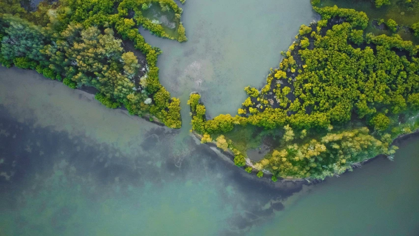 an aerial view of a river surrounded by trees, inspired by Attila Meszlenyi, pexels contest winner, environmental art, mangrove trees, yellow and greens, islands, floating. greenish blue