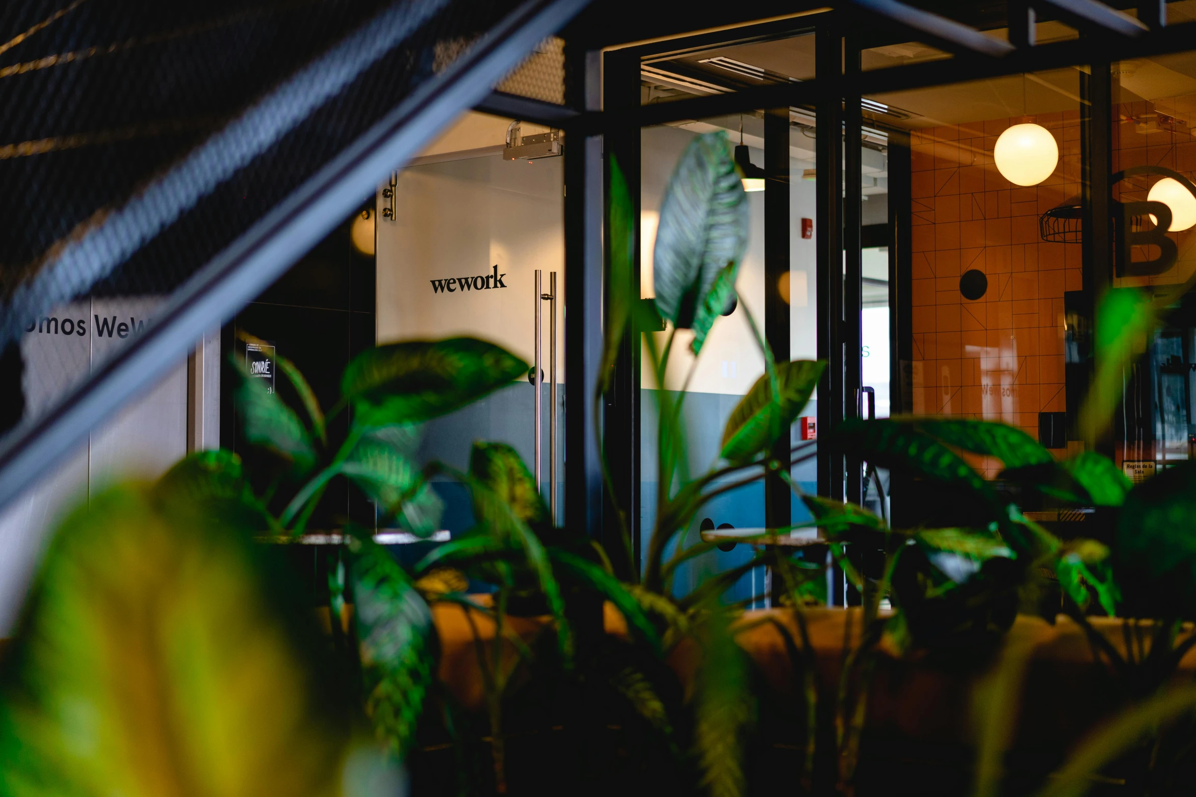 a room filled with lots of green plants, unsplash, worksafe. instagram photo, tall entry, sweating, exterior photo