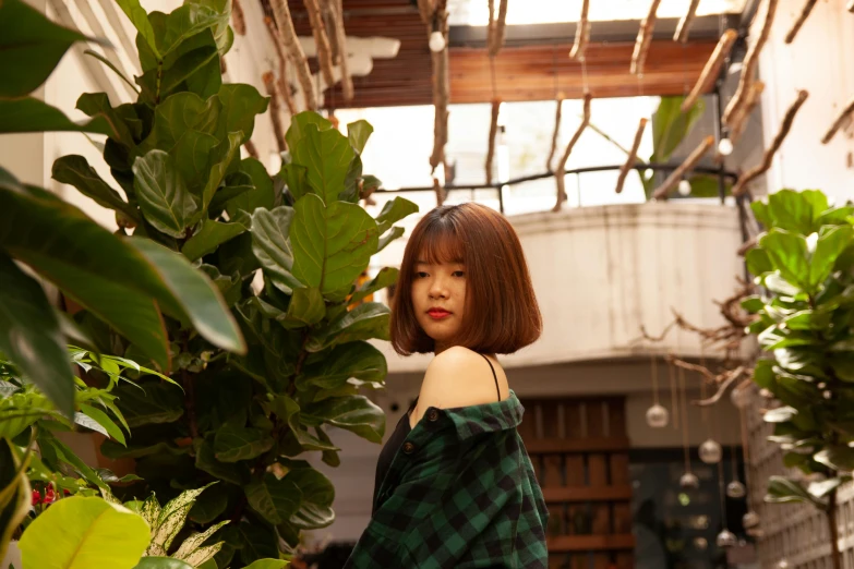 a woman standing next to a bunch of plants, an album cover, inspired by Ni Yuanlu, unsplash, photorealism, wearing plaid shirt, short green bobcut, beautiful asian girl, green house