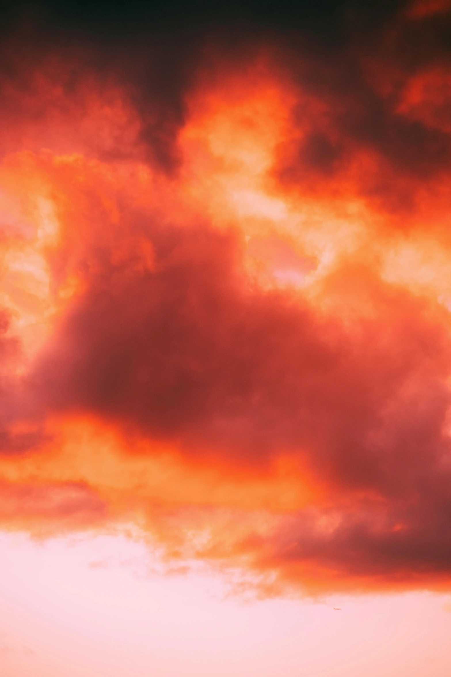 a couple of cows standing on top of a lush green field, an album cover, inspired by Frederic Church, pexels, ominous red cumulonimbus clouds, abstract photography, coloured in orange fire, a close-up