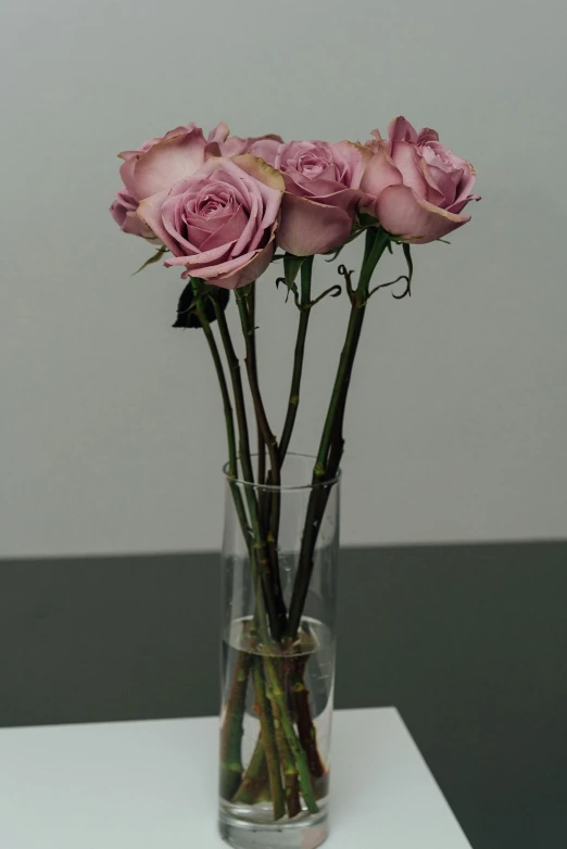 a vase filled with pink roses sitting on a table, 3/4 side view, wilted flowers, lined up horizontally, stems