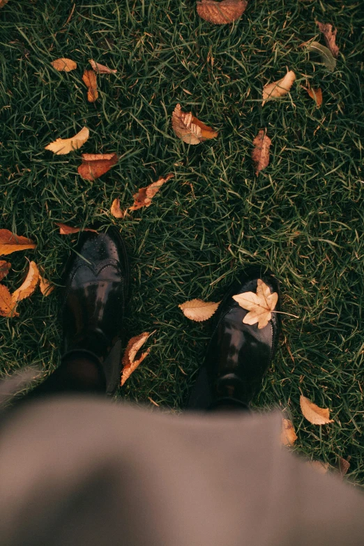 a person standing on top of a lush green field, an album cover, by Elsa Bleda, trending on pexels, realism, fall leaves on the floor, leather shoes, ( 3 1, black