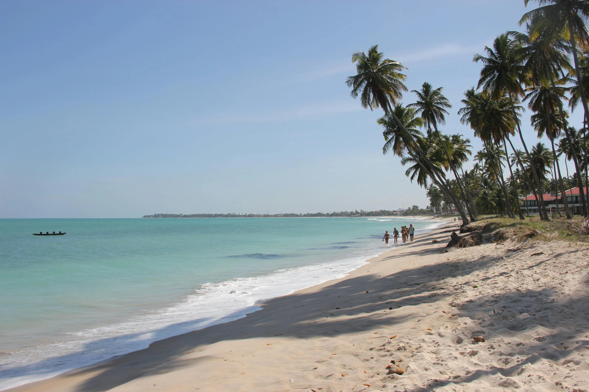 a group of people walking along a beach next to the ocean, hurufiyya, coconut trees, shipibo, clear blue water, profile image