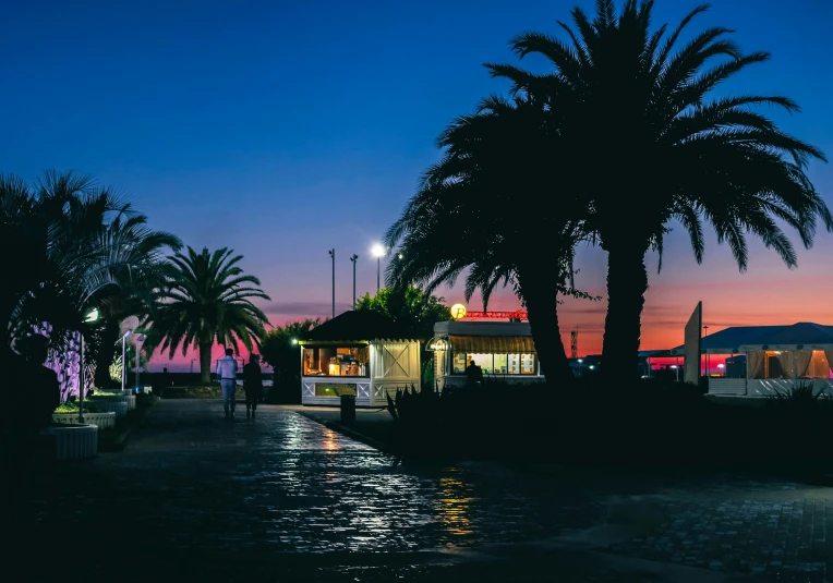 a couple of palm trees sitting next to each other, by Daniel Lieske, unsplash contest winner, futuristic pizza hut at night, summer street near a beach, venice at dusk, australian winter night