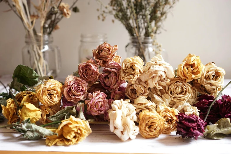 a bunch of dried flowers sitting on top of a table, by Sylvia Wishart, decorative roses, slide show, yellows and reddish black, various sizes