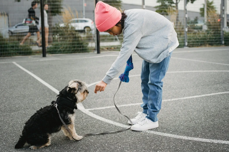 a person playing with a dog on a tennis court, by Emma Andijewska, pexels contest winner, standing in a parking lot, manuka, reaching out to each other, childish