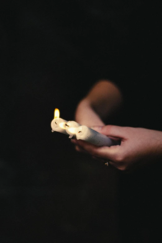 a person holding a lit candle in their hand, inspired by Elsa Bleda, unsplash, visual art, holding a white duck, small people with torches, 15081959 21121991 01012000 4k, instagram post