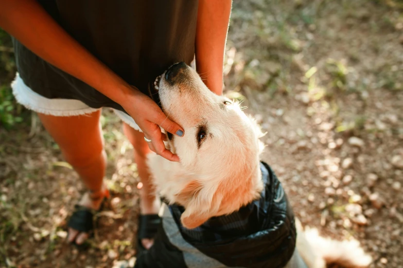 a close up of a person petting a dog, hiking clothes, thumbnail, manuka, blonde