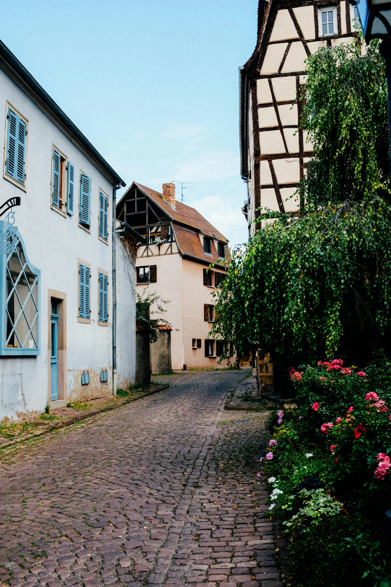 a red fire hydrant sitting on the side of a brick road, inspired by Albert Paris Gütersloh, renaissance, old village in the distance, flowering vines, shops, blue cobblestones