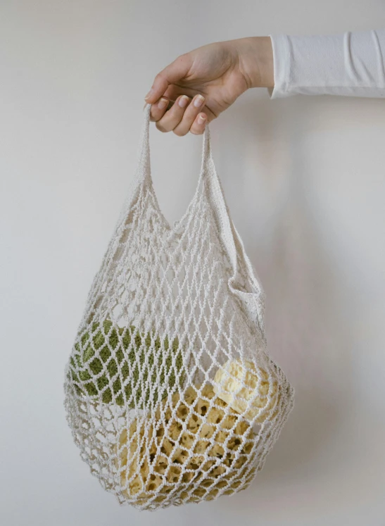 a person holding a net bag full of fruit, by Jessie Algie, organic ceramic white, neutral light, throw