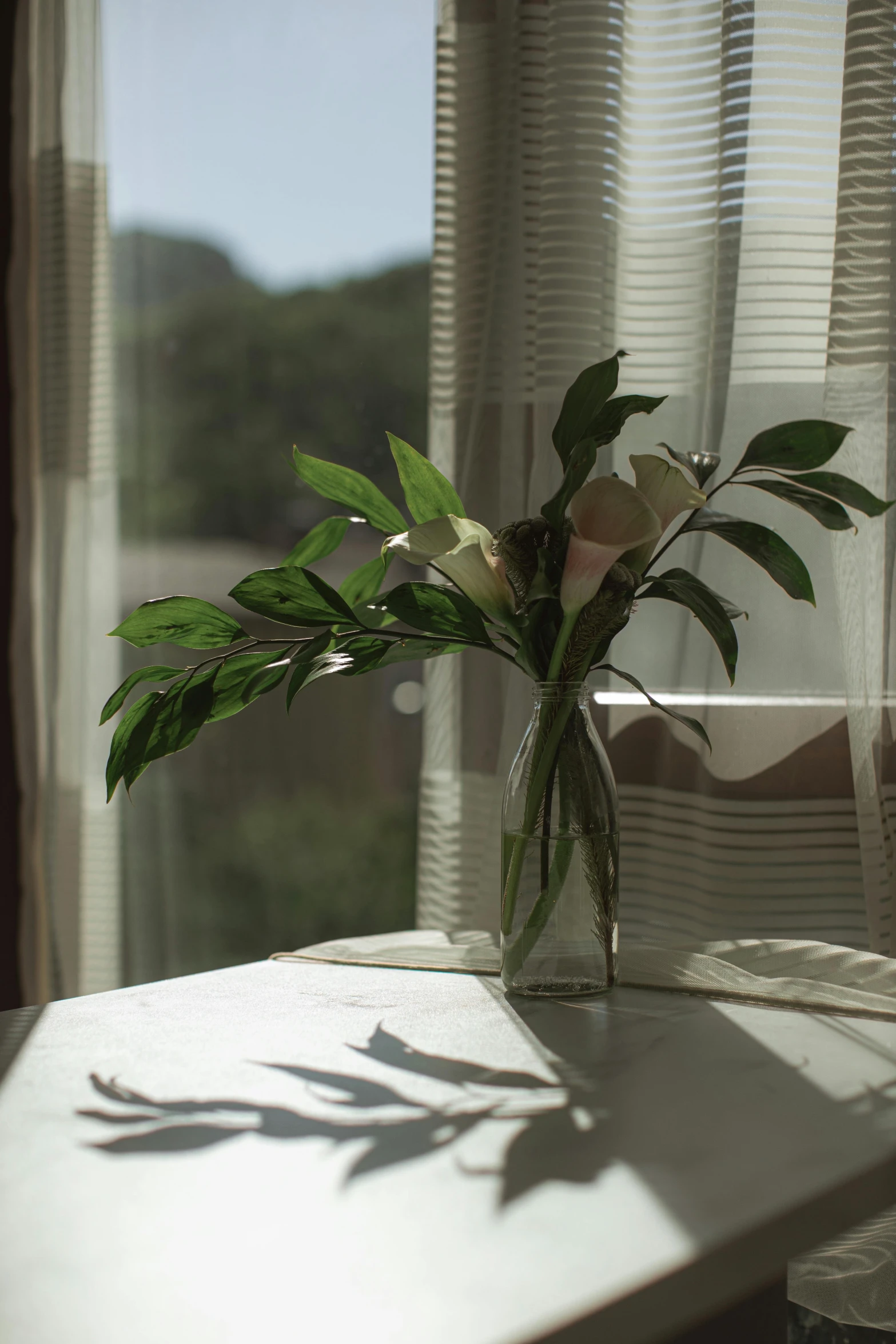 a vase of flowers sitting on a table in front of a window, inspired by Elsa Bleda, unsplash, photorealism, magnolia leaves and stems, sun at dawn, medium shot angle, scenic view