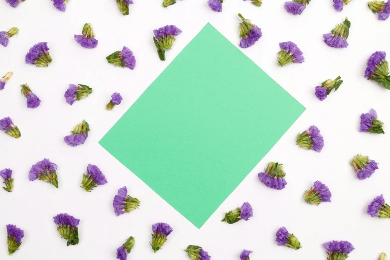 a green square surrounded by purple flowers, trending on pexels, color field, card template, background image, paper origami, lying scattered across an empty